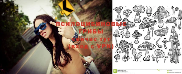 соль ск Краснотурьинск