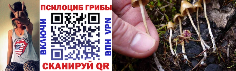 Купить где  Брюховецкая  Галлюциногенные грибы мицелий 